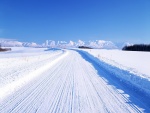 Camino cubierto de nieve