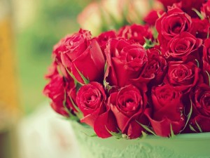 Postal: Rosas rojas en un jarrón