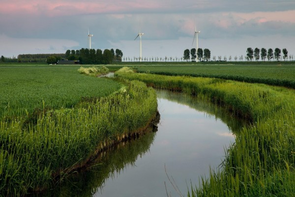 Turbinas de viento junto a un río rodeado de hierba