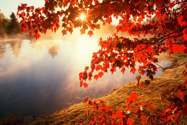 Sol brillando sobre un lago en otoño