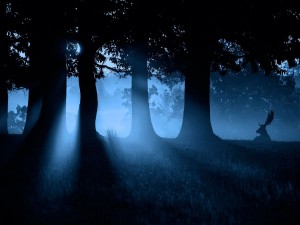 Ciervo en un bosque al caer la noche