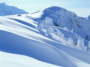 Árboles y montañas cubiertos de abundante nieve