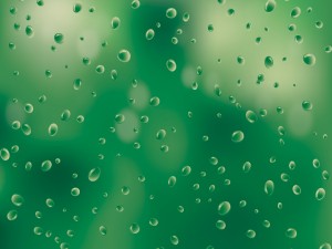 Gotas de lluvia en un fondo verdoso