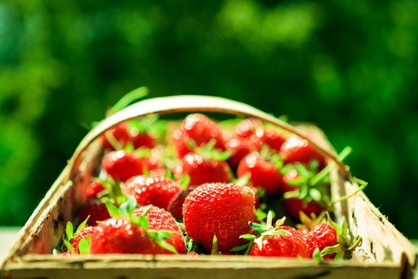 Fresas silvestres en una cesta