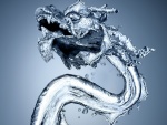 Dragón de agua