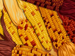 Cosecha de maíz