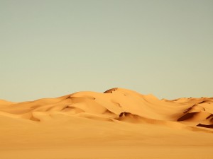 Dunas en el desierto