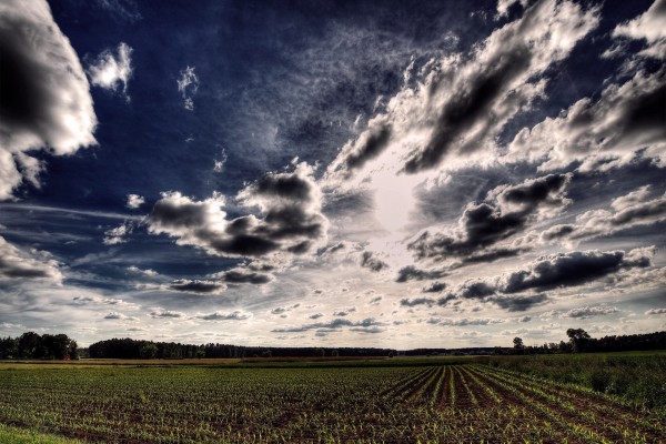 Cielo nuboso sobre un campo de cultivo