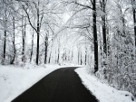 Nieve a ambos lados de una carretera