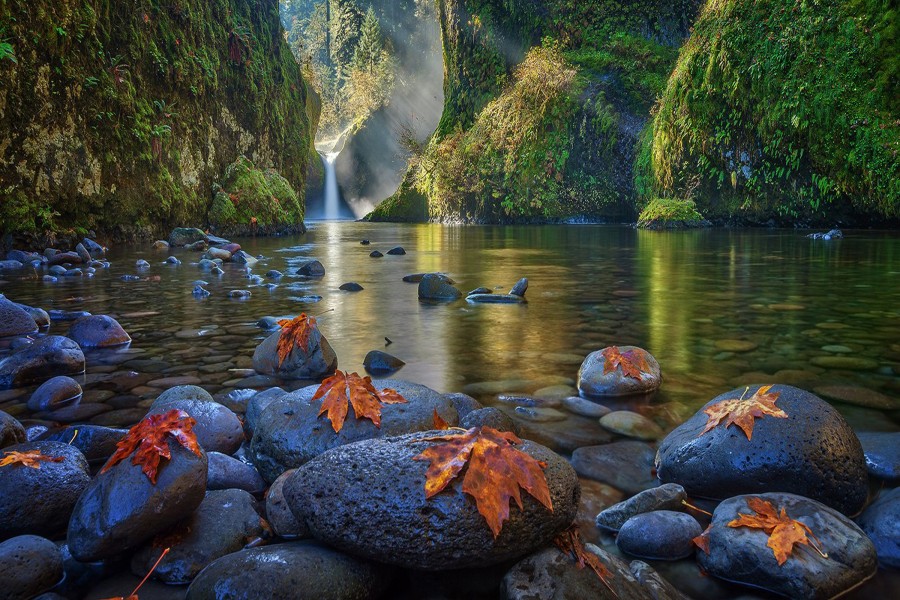 Hojas de otoño acostadas sobre las piedras de un hermoso río