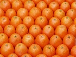 Naranjas frescas