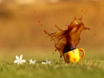 Taza de café derramada sobre la hierba