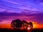 Bonitos colores en el cielo al amanecer