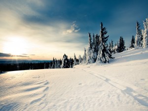 Día soleado en un lugar cubierto de nieve