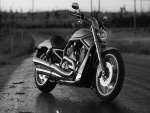 Harley-Davidson en una carretera