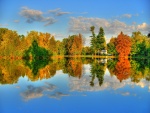 Árboles reflejados en el lago