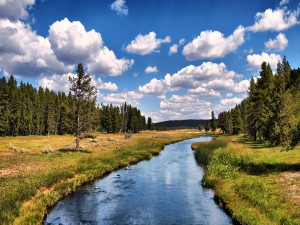 Postal: Río fluyendo por el campo