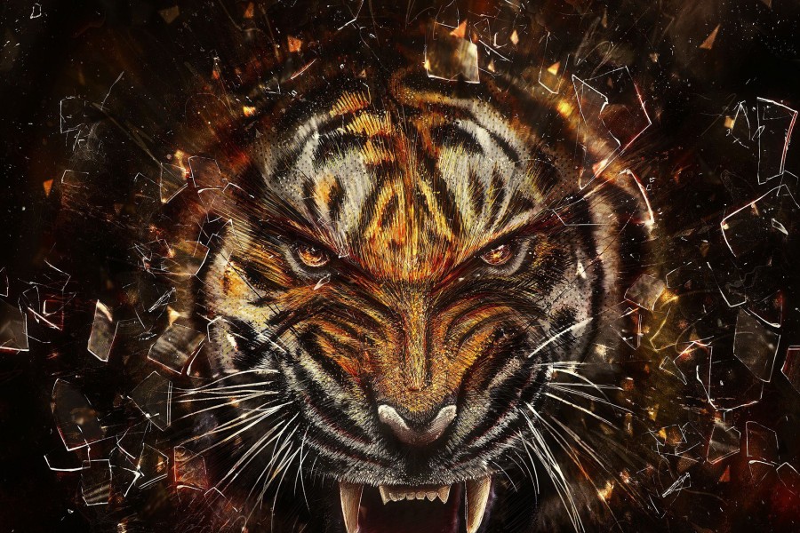 Tigre enojado entre unos fragmentos de vidrio