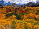 Los colores del otoño bajo las montañas