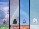 Las cuatro estaciones (primavera, verano, otoño e invierno)
