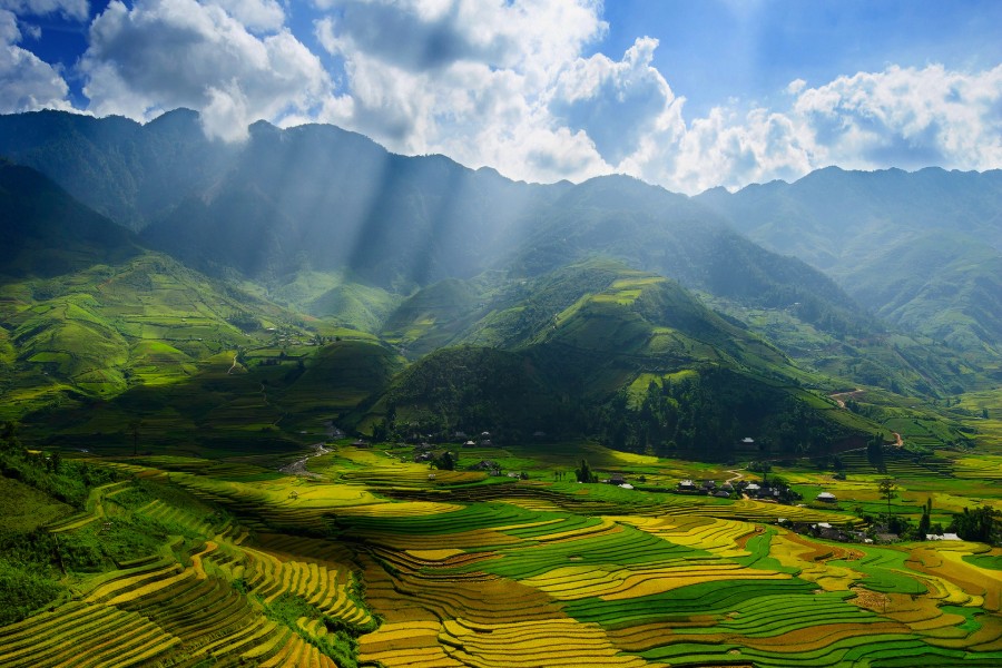 Rayos de sol sobre los campos de cultivo