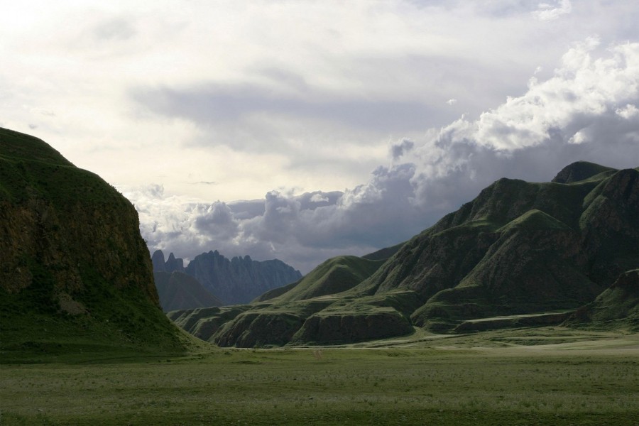 Montañas cubiertas de hierba