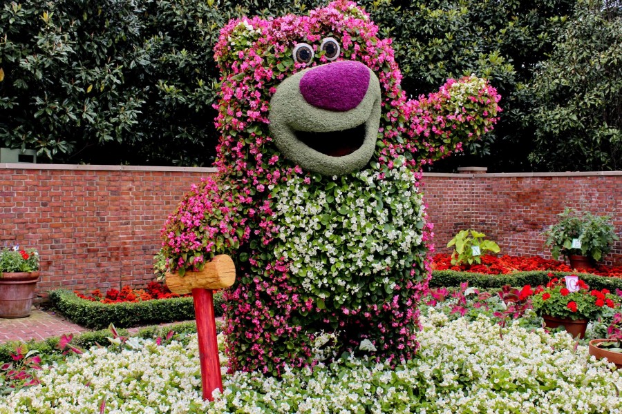 Curioso oso en un jardín con flores blancas y rosas