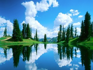 Pinos y nubes reflejados en el lago