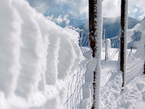Valla cubierta de nieve
