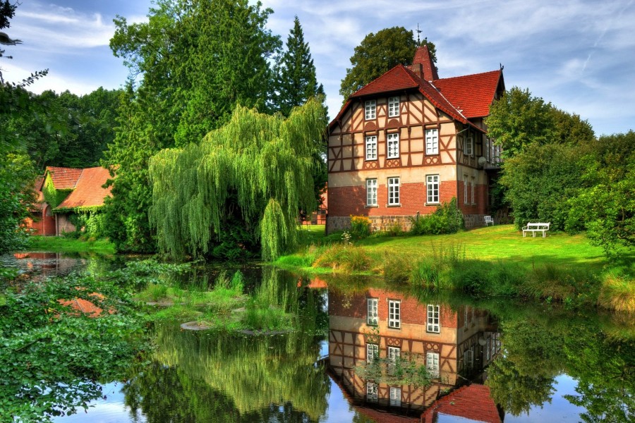 Casas rodeadas de naturaleza verde