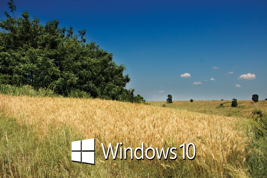 Paisaje con el logo de Windows 10