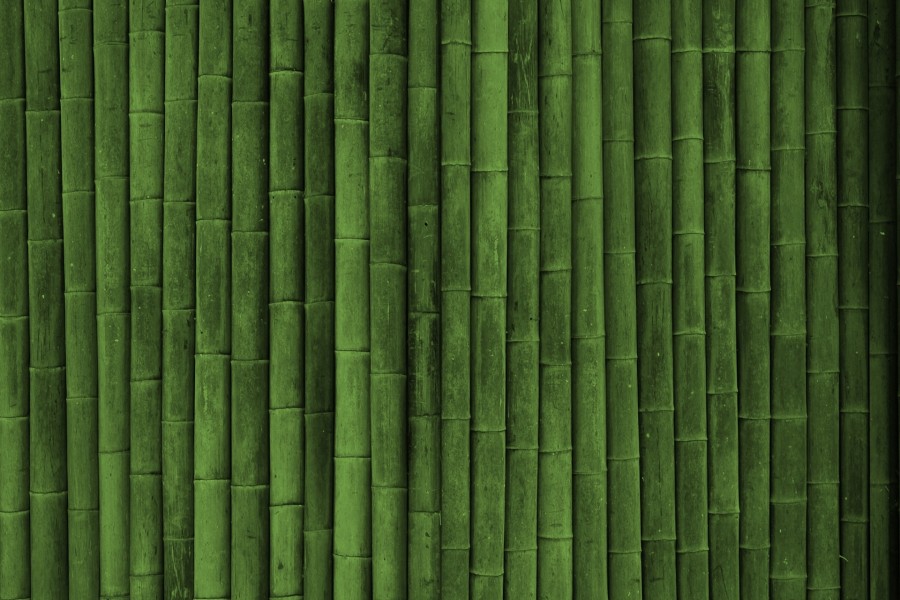 Bambúes