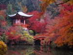 Hermoso paisaje japonés en otoño