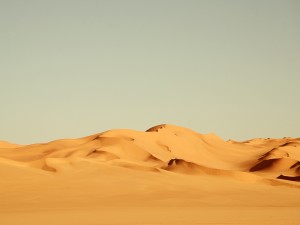 Arenas del desierto