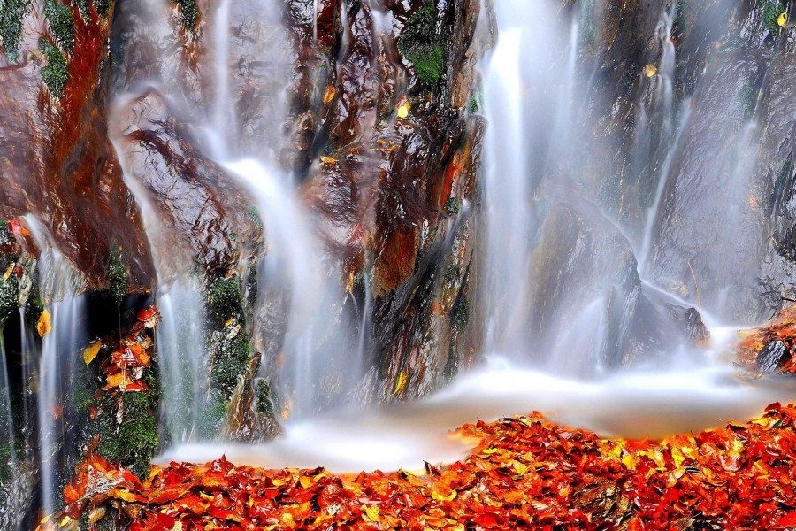 Hojas caídas bajo la cascada