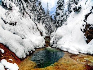 Río entre árboles y rocas nevadas