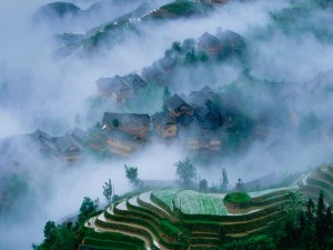 Niebla sobre unos campo de arroz en China
