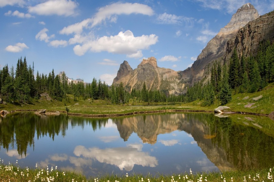 Primavera en el lago