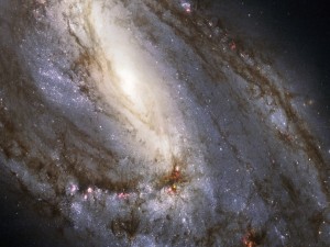 Galaxia espiral M66
