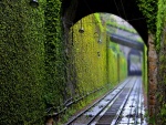 Bonito túnel ferroviario