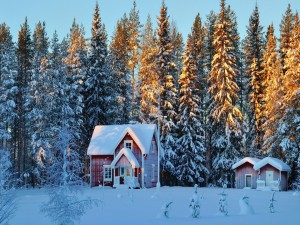 Postal: Pequeñas casas en un bosque nevado