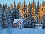 Pequeñas casas en un bosque nevado
