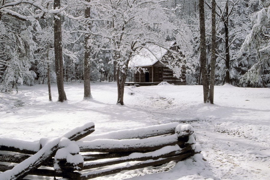 Cabaña en un bosque nevado