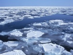 Bloques de hielo en la superficie del agua