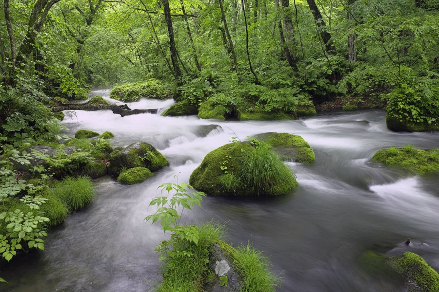 Un bonito río