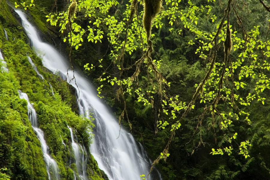 Agua sobre las rocas con musgo