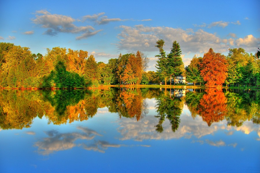 Árboles otoñales reflejados en el lago