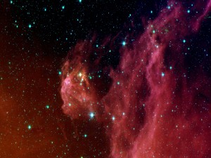 Estrellas infantiles en la nebulosa de Orión