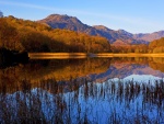 Paisaje de otoño reflejado en un lago