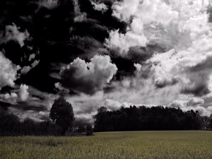 Cielo nuboso sobre el campo